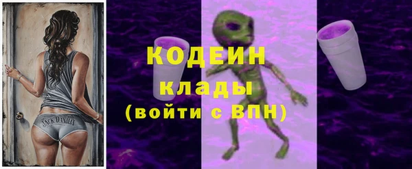 шишки Приозерск