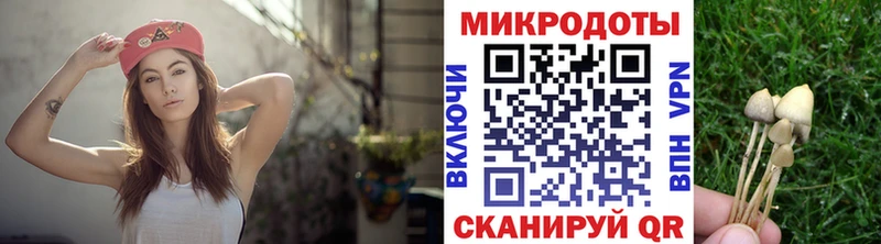 маркетплейс телеграм  Беломорск  Псилоцибиновые грибы ЛСД  как найти наркотики 